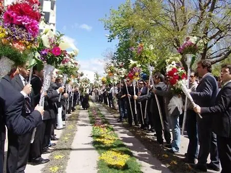 Slow House D'encosta * São Brás de Alportel